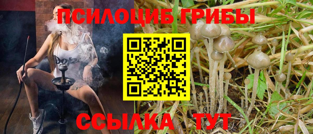 Псилоцибиновые грибы GOLDEN TEACHER Сунжа