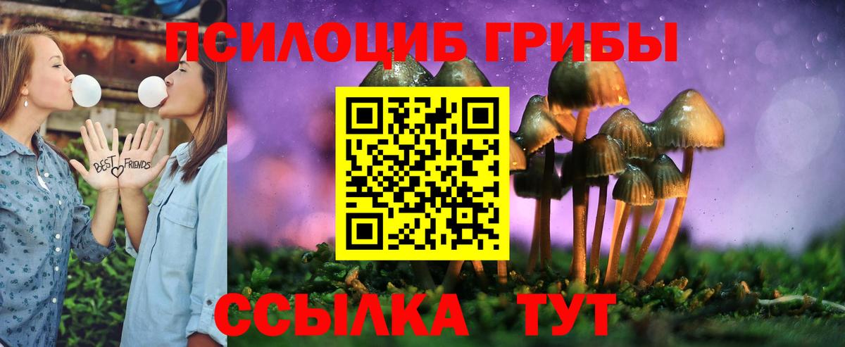 Сунжа  Псилоцибиновые грибы GOLDEN TEACHER  закладки  Вход с VPN  Псилоцибиновые грибы прущие грибы 